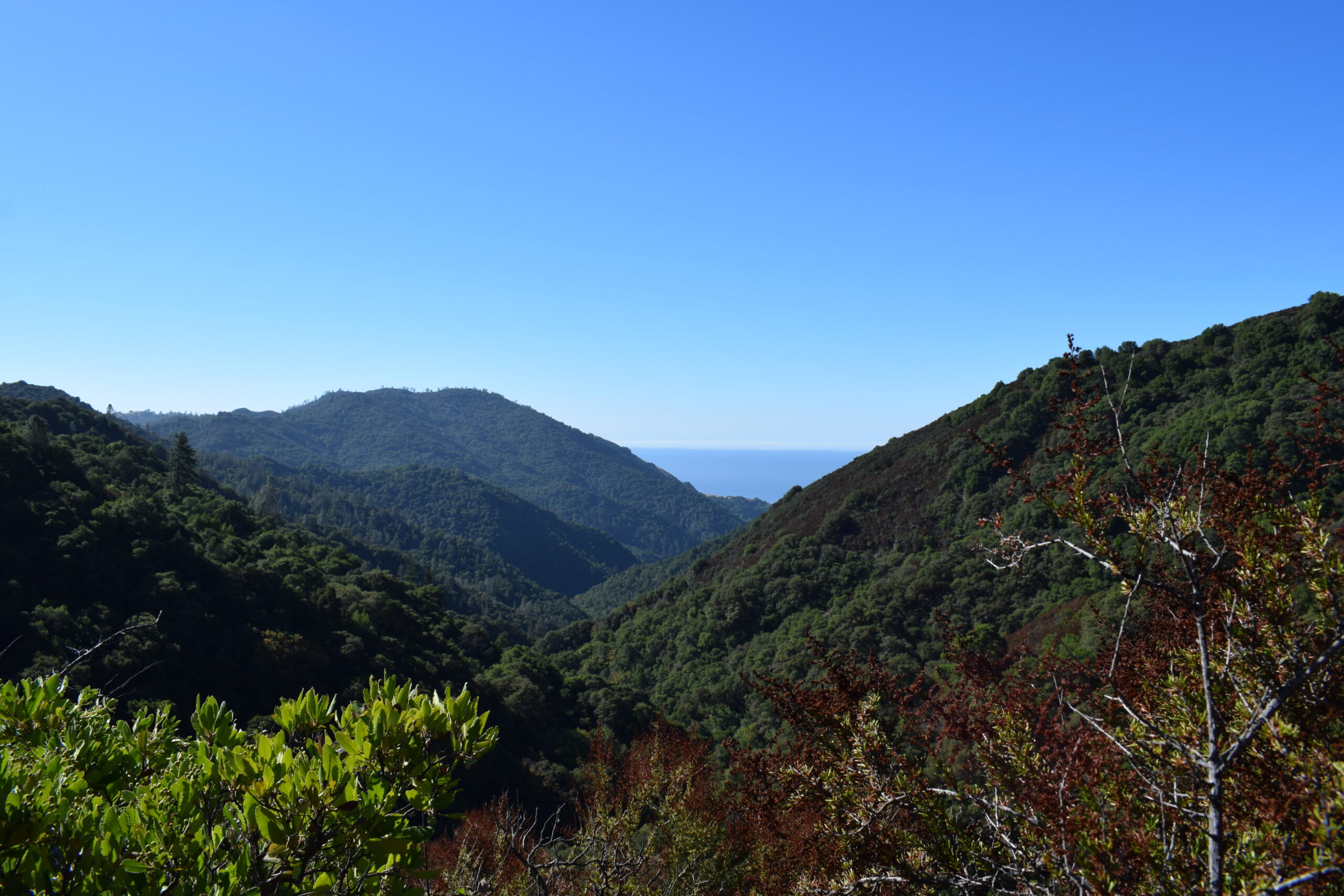 Big Sur Oct ’23