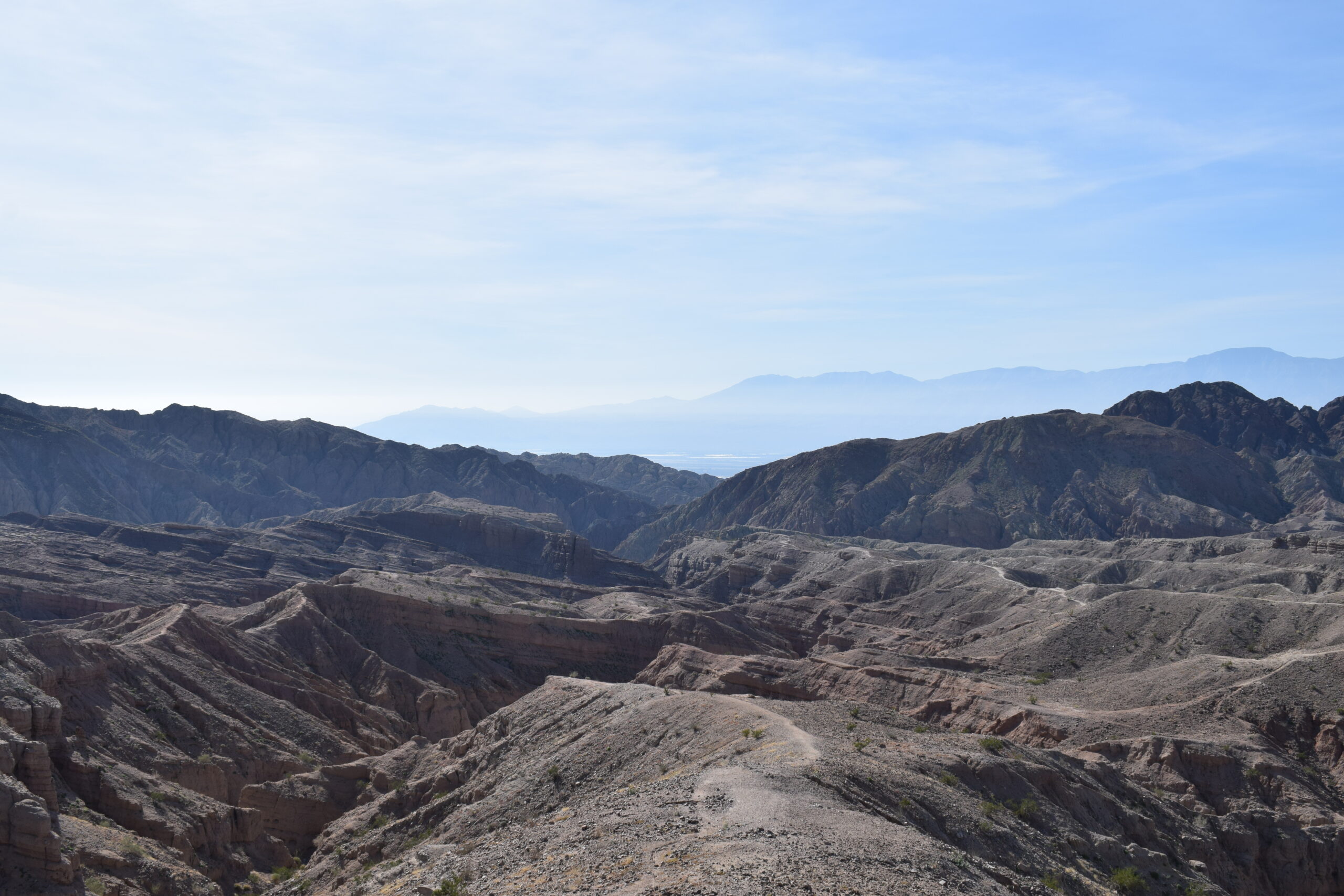 Joshua Tree Dec ’23